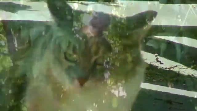 За кадром (Part Of Me и Останавливая время) ССФ смотреть онлайн