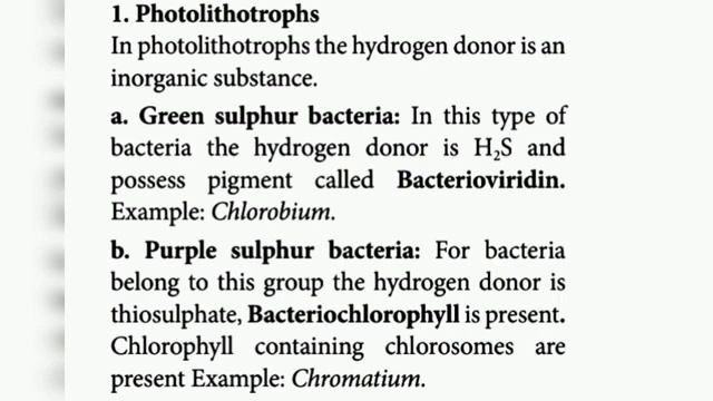 11th BIO - BOTANY смотреть онлайн