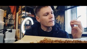 Табак 71 Дэйли.