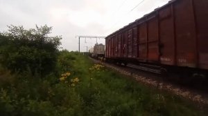 Новейший! Электровоз 3ЭС5К-1339 "Ермак" с грузовым поездом.