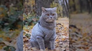 Когда ты глазками хлоп хлоп хлоп.