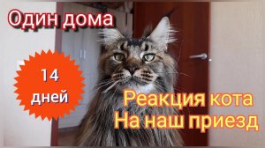 Мейн кун Сева. Дома один 14 дней. Реакция на наш приезд. Архив 9.07.22.
