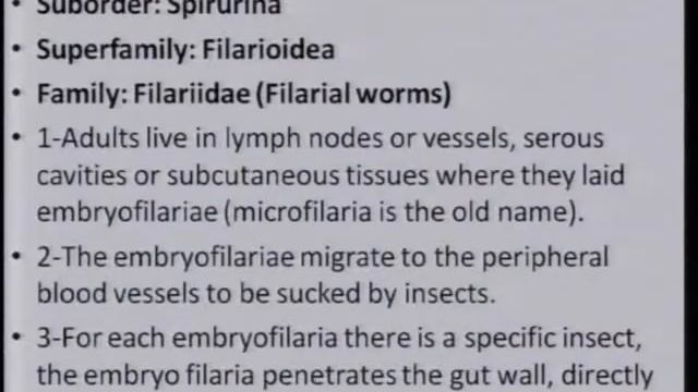 Strongyloides stercoralis смотреть онлайн