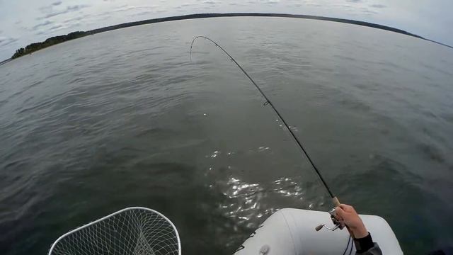 MERIFORELL 2019 #1 смотреть онлайн