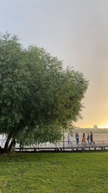 Обзор на жизнь в Воронеже: взгляд Петербуржца #влог #обзор #воронеж #shorts #рассуждения смотреть онлайн