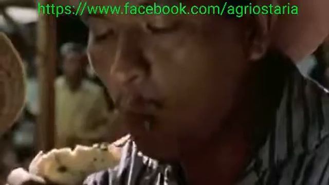 Cimice asiatica смотреть онлайн