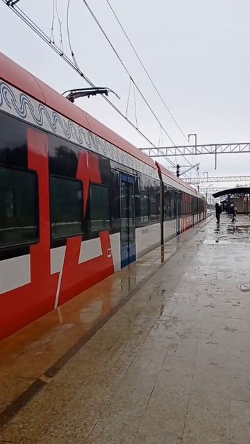 Миниролик #340 ЭГЭ2ТВ - 0007 Прибывает на Ильинскую #рек #эг2тв #эд4м #электричка #ЭП2Д #поезд #МЦД смотреть онлайн