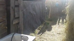 Купили сено в рулонах