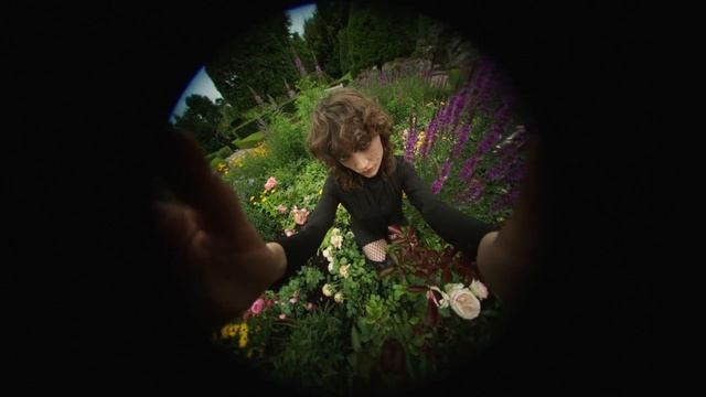 LIME / Creative concept by Katya Shtokolova смотреть онлайн