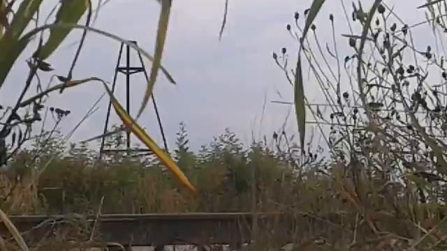 ЕДЕТ ПОЕЗД:АЙ АЙ!!! смотреть онлайн