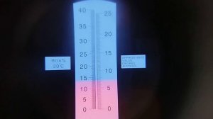 Сравнительный обзор  жимолости канадской селекции.