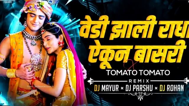 Vedi Jhali Radha Vs Tomato Tomato | DJ Mayur DJ Rohan । Instagram Viral DJ Song । Insta Trending