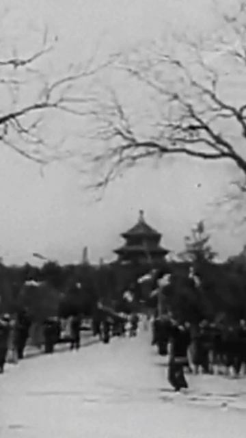 The Man who Starved Millions Because of His Hatred for Sparrows смотреть онлайн