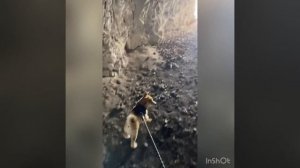 Курочкин Лог