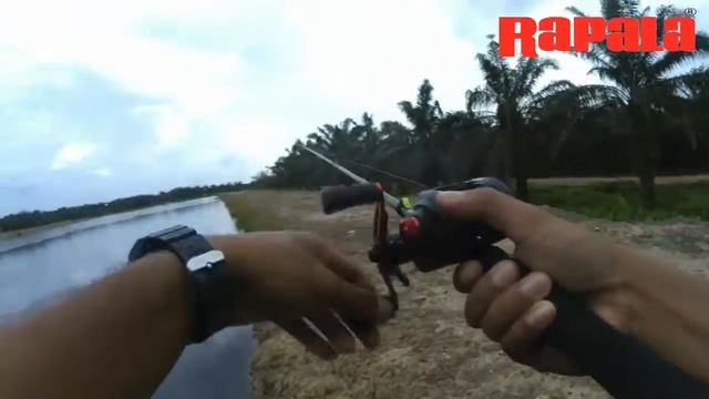 Rapala Scatter Rap Shad 07 смотреть онлайн