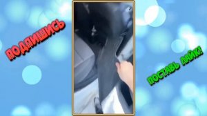 Если застряли в снежном сугробе