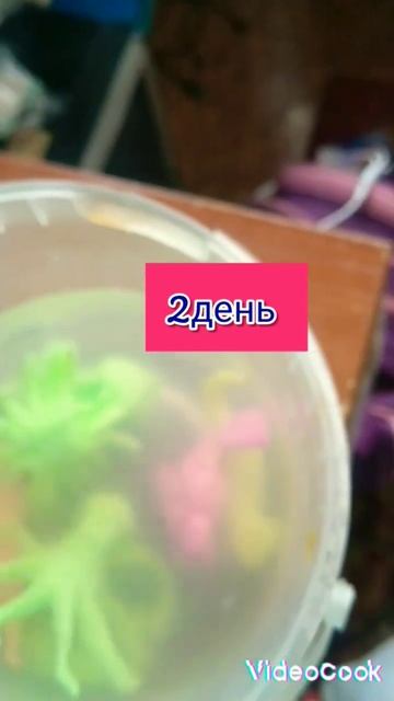 рыбы которые растут в воде за 3дня #рекомендации #хочуврек смотреть онлайн