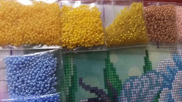 Півники та джмелі