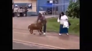 Рамсы попутали