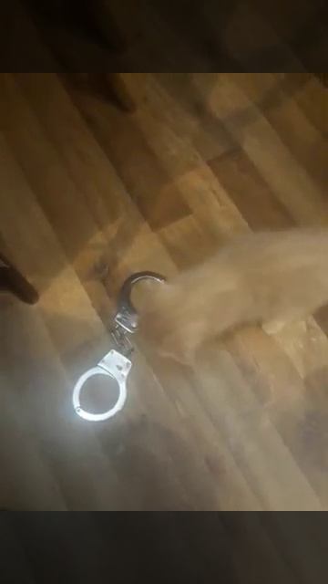 Наручники не понравились смотреть онлайн