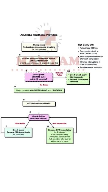 learn about BLS CPR #medicalentranceexam #medicalexam #esic #aiims #norcet #nursing #yt #health