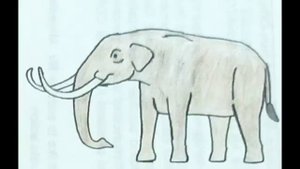 stegomastodon, Cuvieronius Notiomastodon and American Mastodon Sound effects