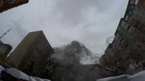 Осьминоги
