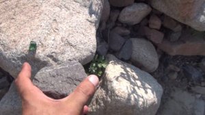 Поиск хризолита и золота среди камней