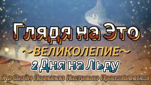 ГЛЯДЯ НА ЭТО ВЕЛИКОЛЕПИЕ -2 ДНЯ ПРОВЕДЁНЫХ НА ЛЬДУ- я в Своём Познании- НА СТОЛЬКО ПРЕИСПОЛНИЛСЯ..