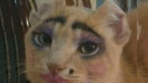 What ls Love /speed up.Борис лов в ускоренной версии)