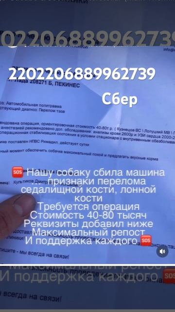 6 июня 2024 г. смотреть онлайн