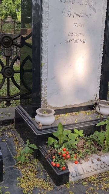 Захоронение семьи Турченых - Стелла с вставкой из мрамора и барельефом листьев!