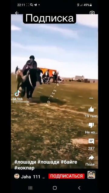 Лошадь без тормазов!shortvideo животные александрсуворов лошади