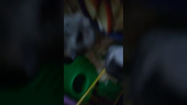 Мои хомяки кушают как прикольно смотреть онлайн