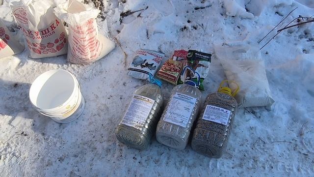 pegions Как сделать минеральную подкормку для голубей 23 февраля 2025 г.