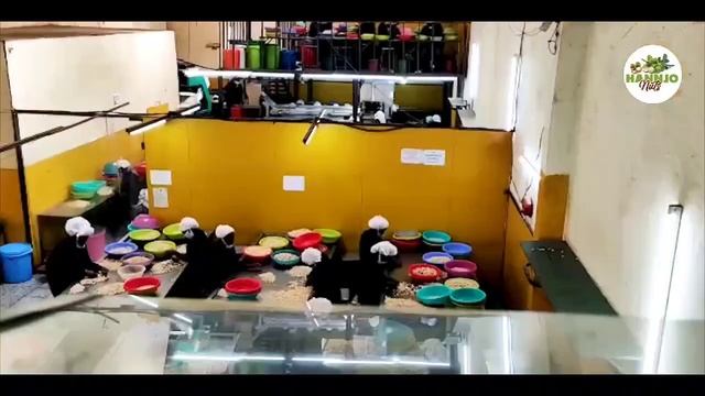 Macadamia Processing смотреть онлайн