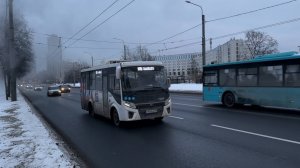 "Вдоль прорыва кипятка!" Автобус "Вектор Некст" ПАЗ-320435-04 №15099 на пр.Ветеранов, февраль 2025