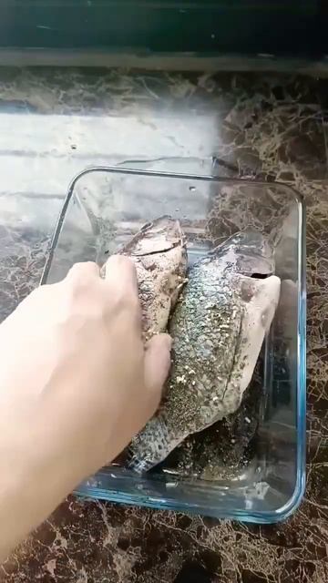 Marinated Fish #marinated #fish #shorts смотреть онлайн