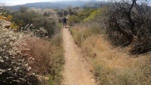 Scorpion trail at Santa Monica Mountain