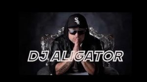 BROOKLYN BOUNCE VS DJ ALIGATOR ~ THE REMIXES BY COSTEL HOC