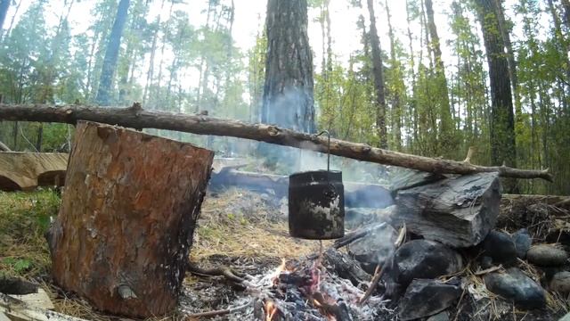 Вечерний костер в лесу на берегу Катуни (под ДДТ "Осень") смотреть онлайн