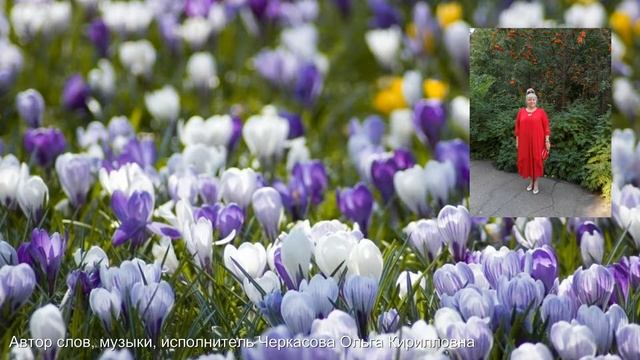 Запашистая черёмуха смотреть онлайн