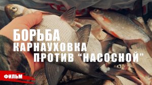 БОРЬБА КАРНАУХОВКА ПРОТИВ "НАСОСНОЙ" // ДВА ДНЯ НА РЫБАЛКЕ.