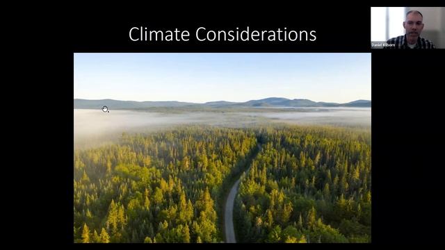 Tree Talk Tuesday: Spruce Fir and Pines