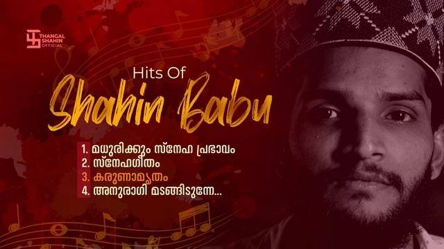 Hits Of Shahin Babu Tanur | Top 4 Songs | High Quality Audio | Thangal Shahin Official смотреть онлайн