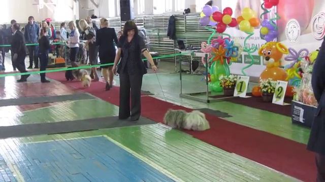 Весна Королевского клуба 12 04 14 смотреть онлайн