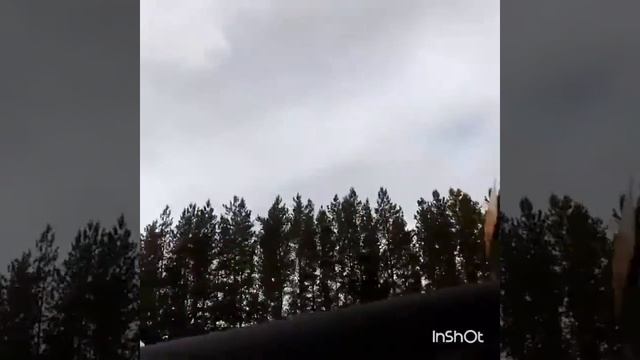 Обогнали школьный автобус смотреть онлайн