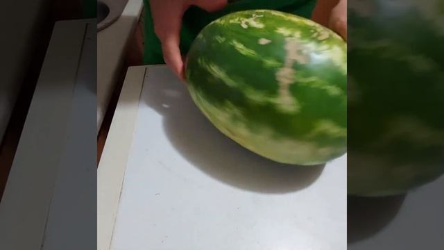 Арбуз 5.5 кг 31 августа 2022 г. смотреть онлайн