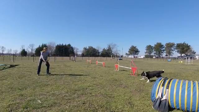 Eve send to serpentine and a threadle смотреть онлайн