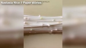 смешные истории и слаймы / видео не моё